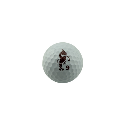 Lobbie PURE 3+1 Deal – More Balls, More Golf!